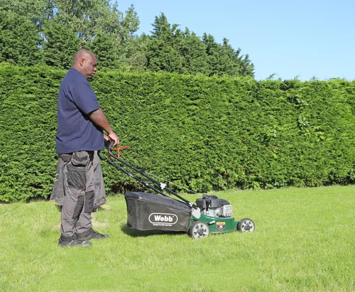 Side view of Andrew Fisher mowing a lawn with a petrol lawn mower