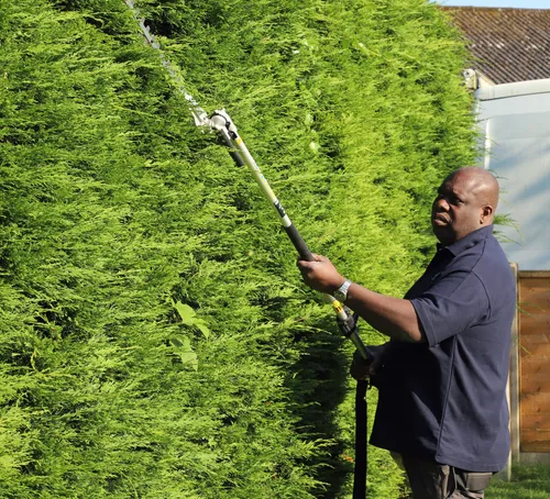 Closer view of Andrew Fisher trimming a hedge with an electric hedge cutter