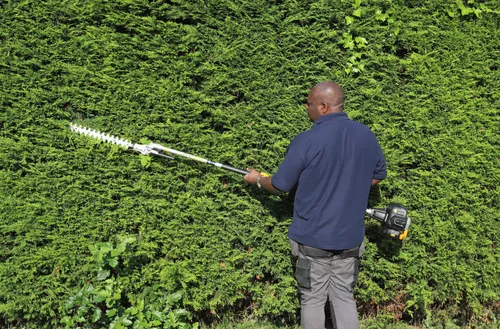 Rear view of Andrew Fisher trimming a hedge with an electric hedge cutter