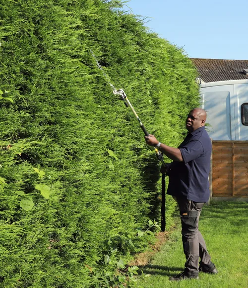 Andrew Fisher trimming a hedge with an electric hedge cutter